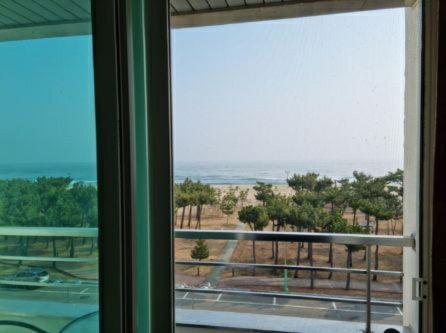 Pine Beach Янъян Экстерьер фото