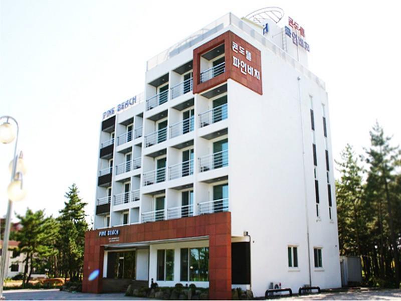 Pine Beach Янъян Экстерьер фото