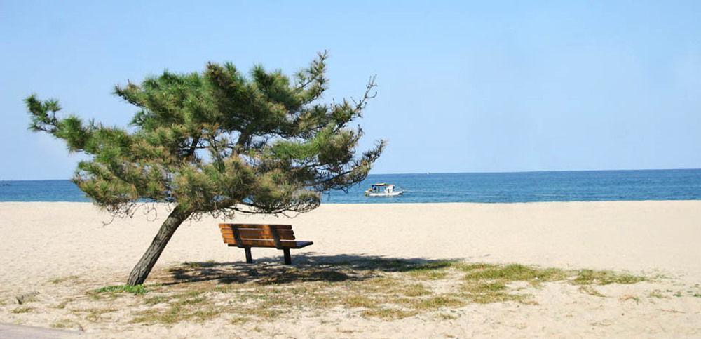 Pine Beach Янъян Экстерьер фото