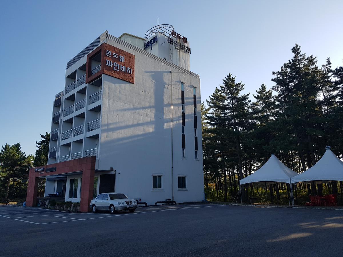 Pine Beach Янъян Экстерьер фото
